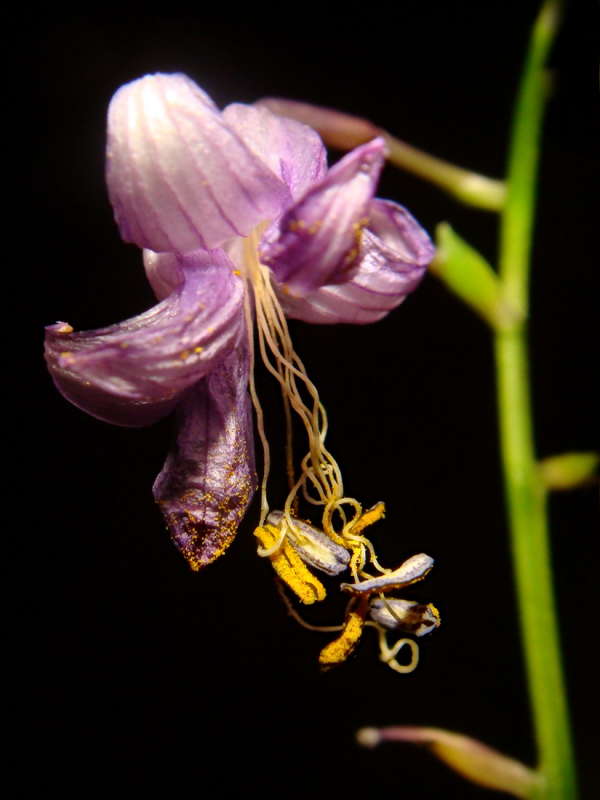 ������ , ���������... ����� ������ ���� �� PhotoGeek.ru #�����