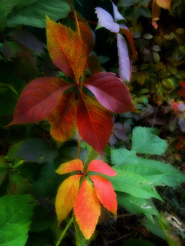 ������������ ������� ����� ������ ���� �� PhotoGeek.ru #������ ��� �������