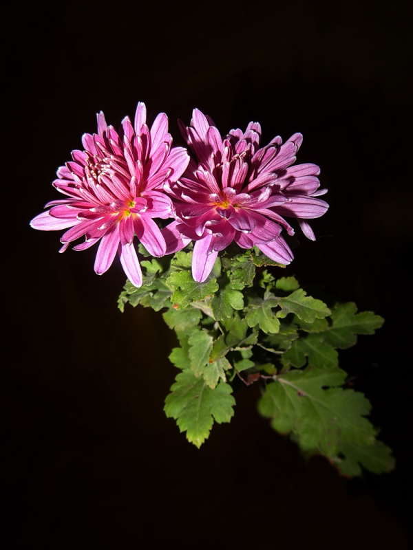 �������� ����� ������ ���� �� PhotoGeek.ru #���������