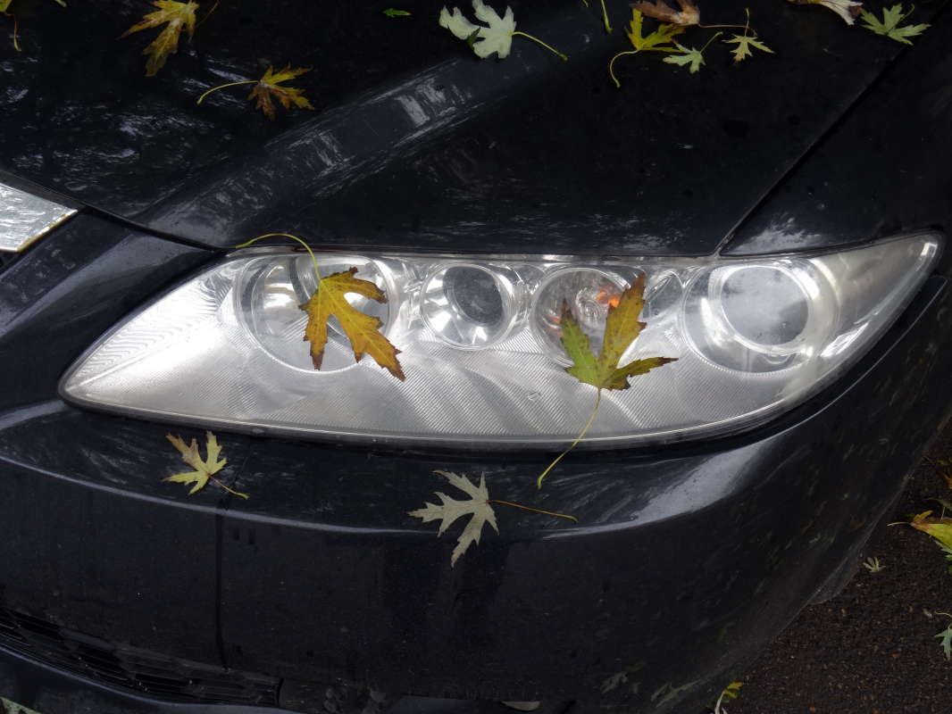 ��������� �� ����� ����� ������ ���� �� PhotoGeek.ru #�������� ����������