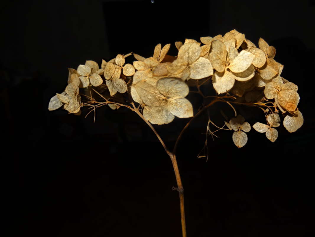 ������� ����� ������ ���� �� PhotoGeek.ru #����� ��������������