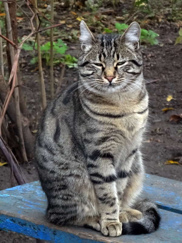 ������� ����� ������ ���� �� PhotoGeek.ru #�������� ���