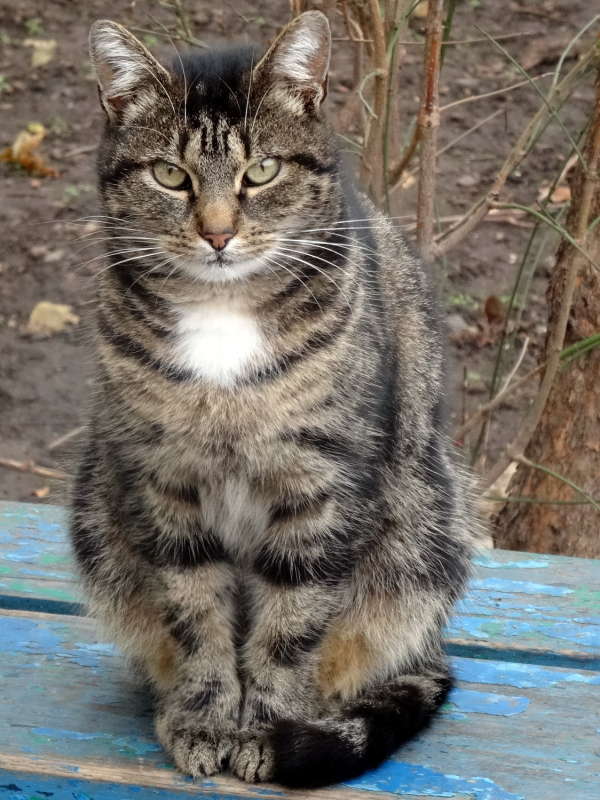 ����� ���� ����� ������ ���� �� PhotoGeek.ru #�������� ���