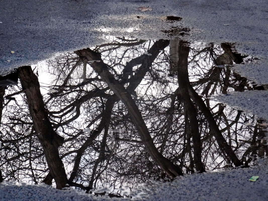 ���� � ���������� ����� ������ ���� �� PhotoGeek.ru #�������� ����������