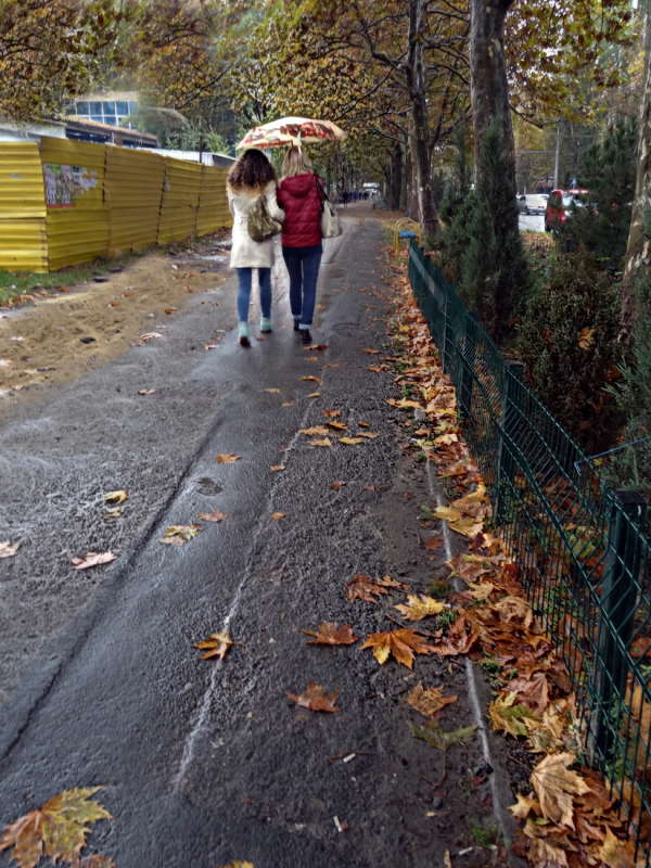 ������� ����� ����� ������ ���� �� PhotoGeek.ru #�������� ����������