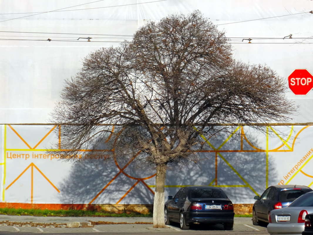 ������ � ��� ���� ����� ������ ���� �� PhotoGeek.ru #������ ��� �������