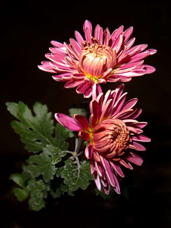 ������� ��������� ����� ������ ���� �� PhotoGeek.ru #������ ��� �������