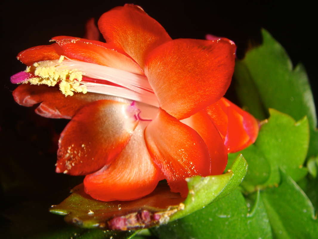 �������� �������� ����� ������ ���� �� PhotoGeek.ru #������ ��� �������