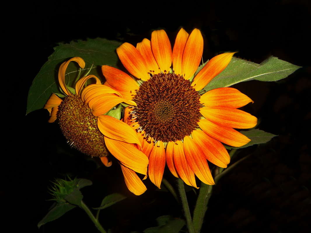 �� ����� ����� ������ ���� �� PhotoGeek.ru #������ ��� �������