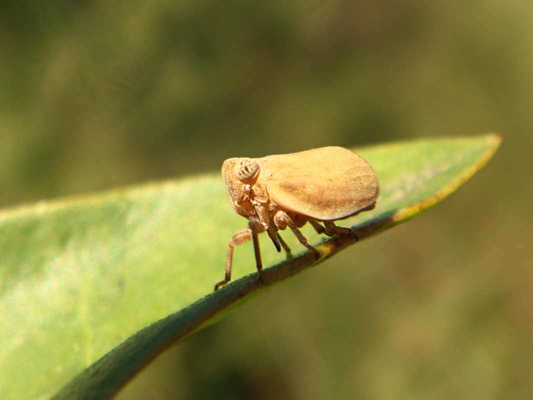 ��-�� - �����! ����� ������ ���� �� PhotoGeek.ru #�����