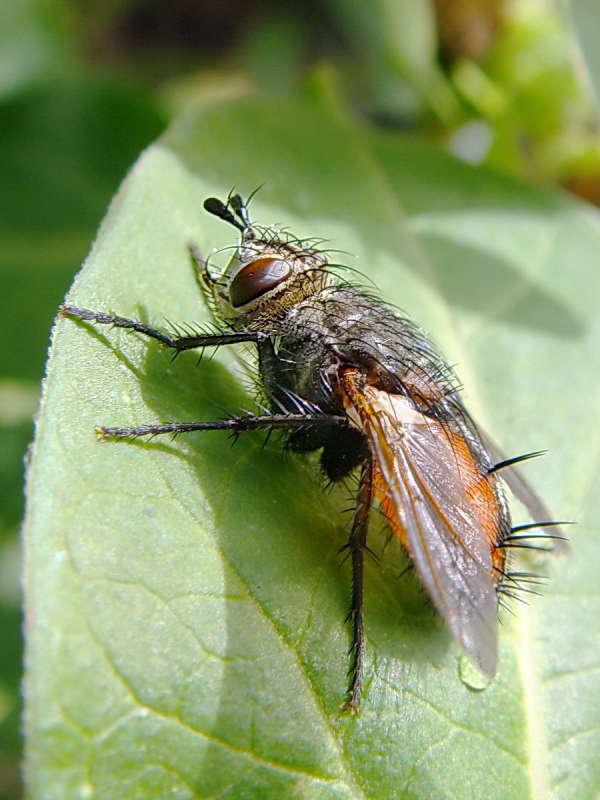 ������� ������� ... ����� ������ ���� �� PhotoGeek.ru #�����