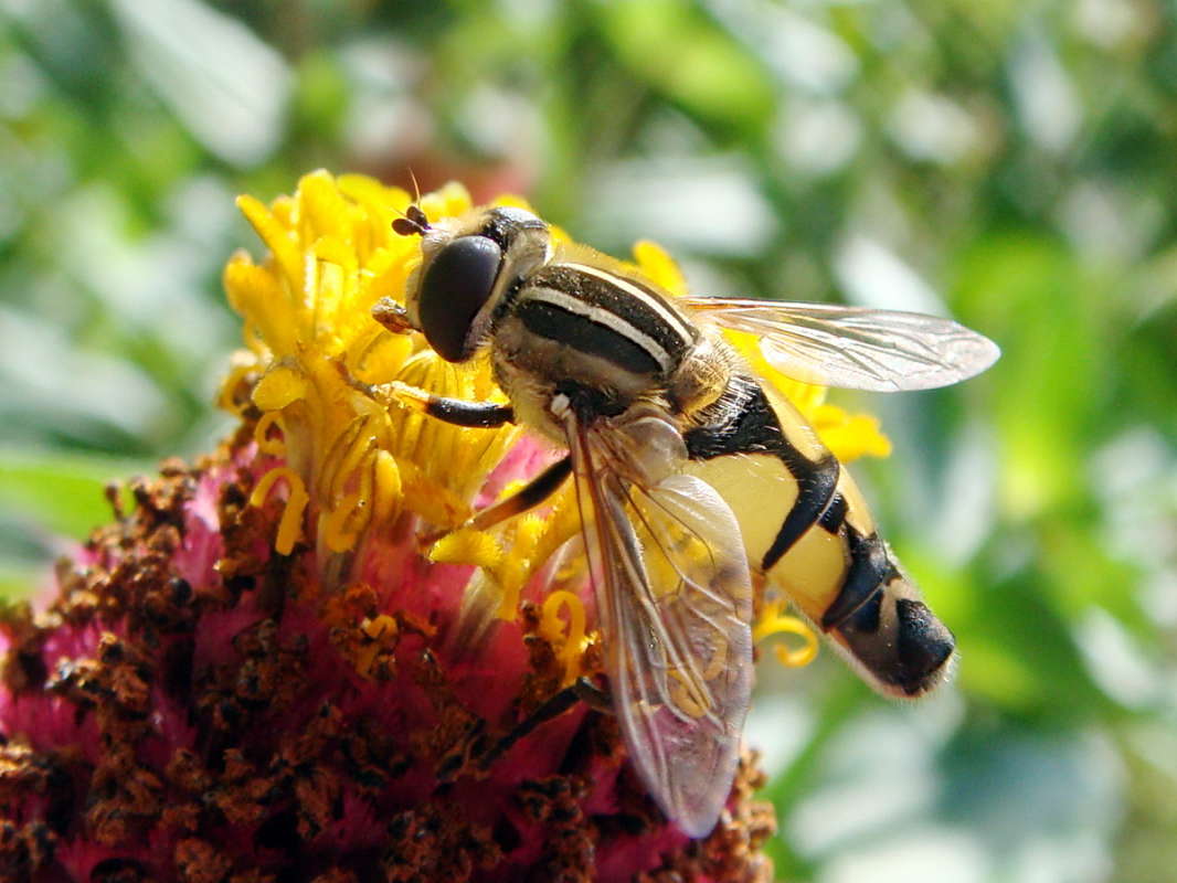 ���� �������� � ��������� �������� ����� ������ ���� �� PhotoGeek.ru #�����