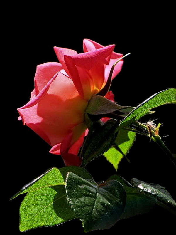 ������� ���� ����� ������ ���� �� PhotoGeek.ru #����� �������������� #�����