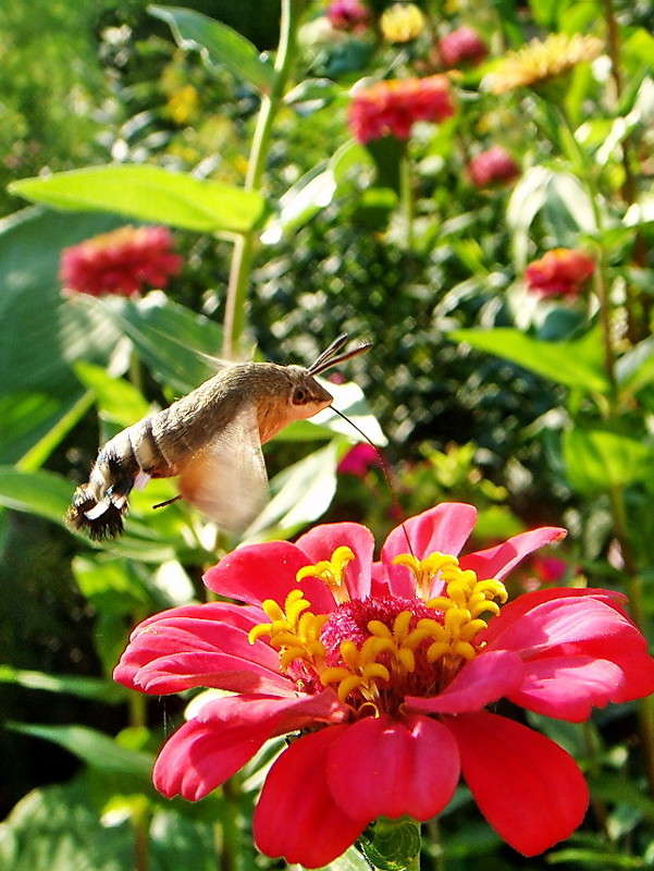 ����� ������� ����� ������ ���� �� PhotoGeek.ru #�����