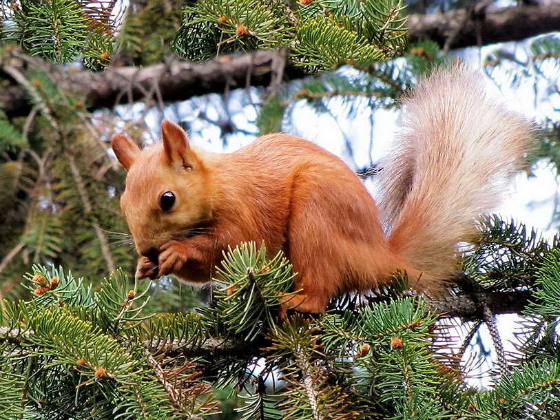 ������� ����� ������ ���� �� PhotoGeek.ru #�������� ���