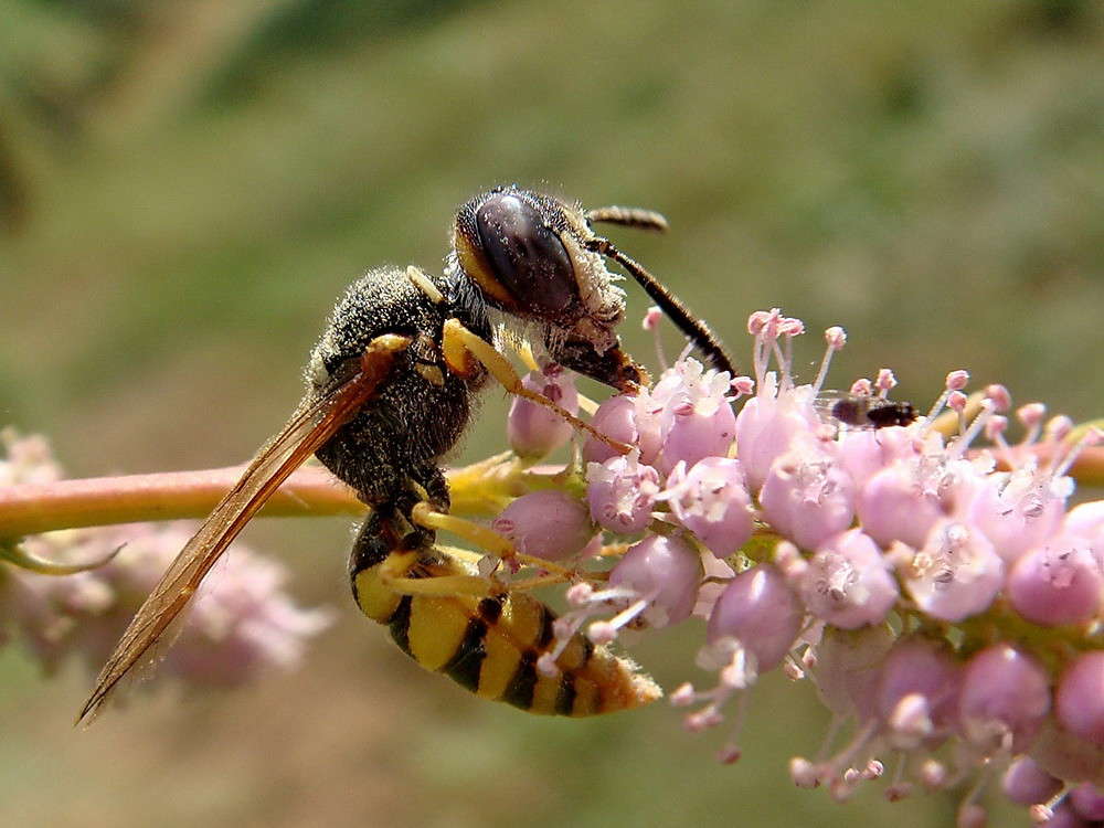 ��� ����� ������ ���� �� PhotoGeek.ru #�����