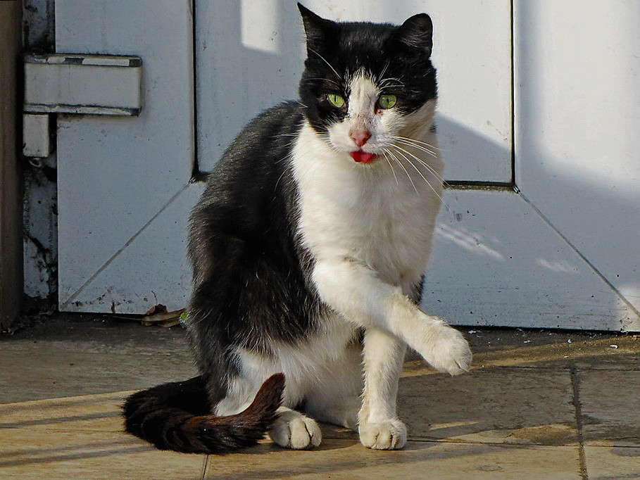 ����� �! �� �����... ����� ������ ���� �� PhotoGeek.ru #�������� ���