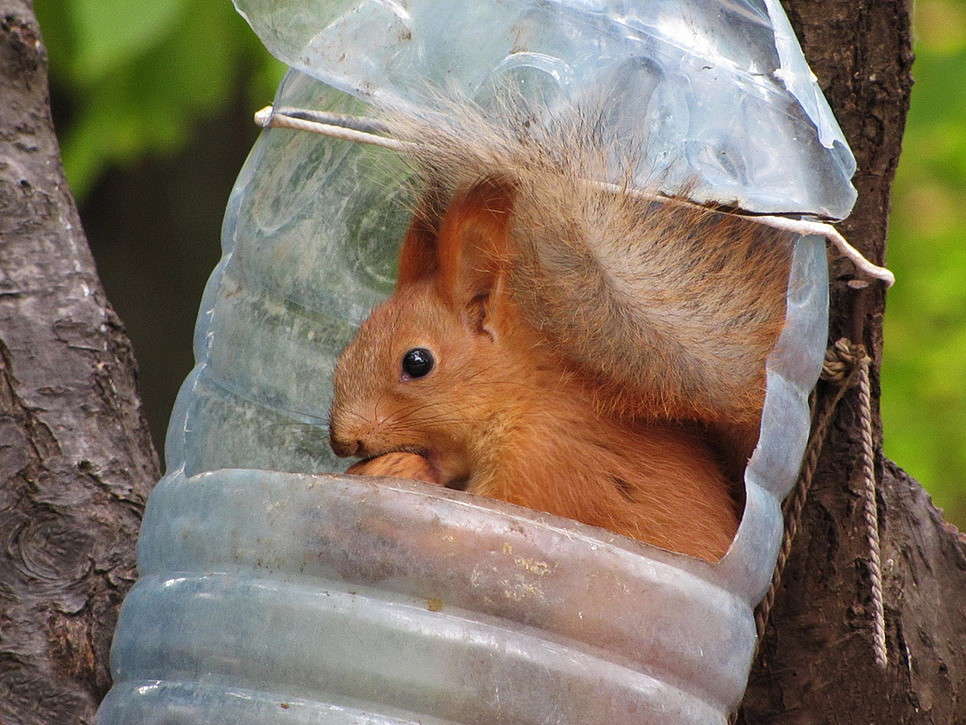 ������� � �������� :) ����� ������ ���� �� PhotoGeek.ru #�������� ���