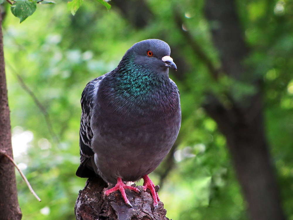 � ��� ��� ����� ������? ����� ������ ���� �� PhotoGeek.ru #�������� ���