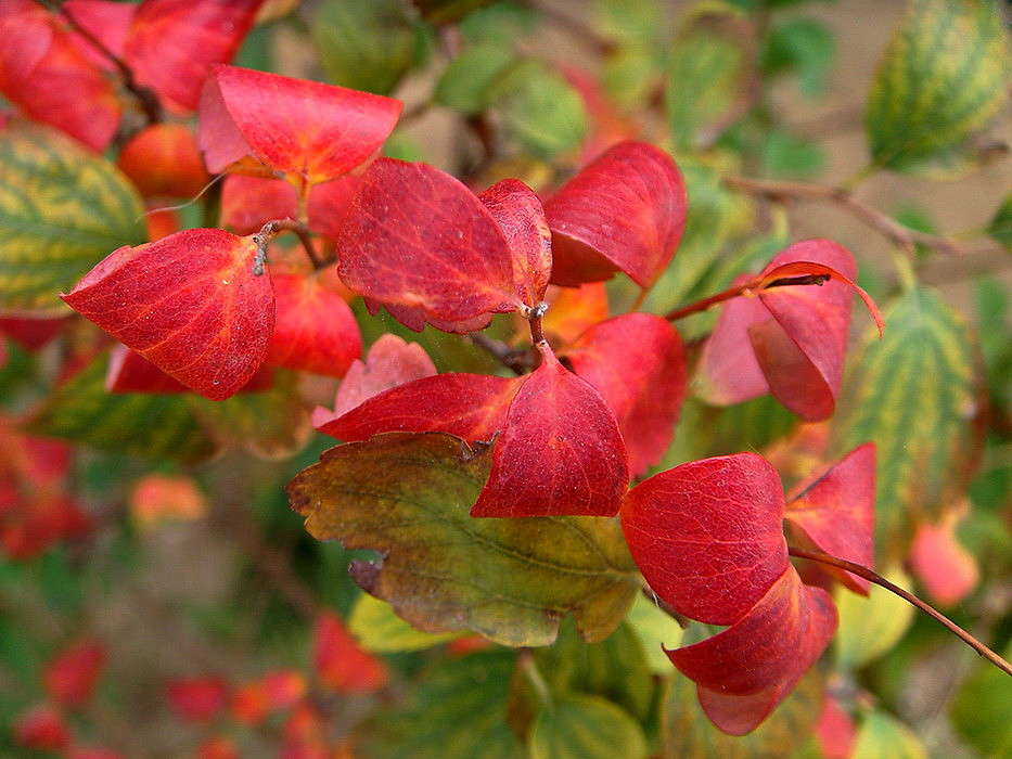 ������ ����� ����� ������ ���� �� PhotoGeek.ru #������ ��� �������