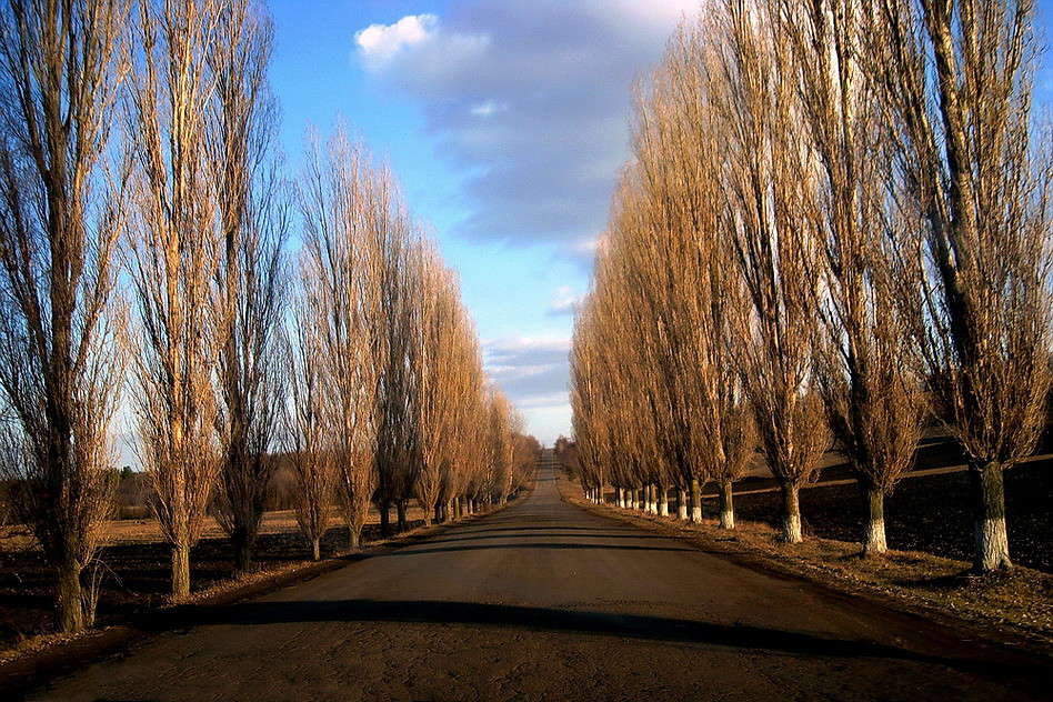 ������ ����� ������ ���� �� PhotoGeek.ru #������ ��� �������