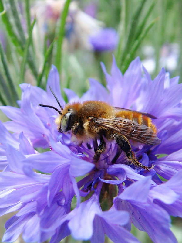 ����� ����� ������ ���� �� PhotoGeek.ru #�����