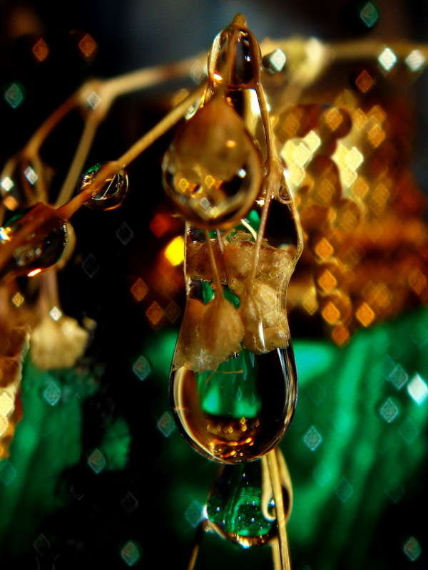 ��������� ������� ������ ���� ����� ������ ���� �� PhotoGeek.ru #�����