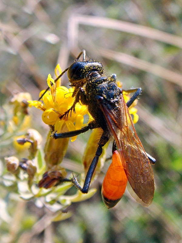 ������� ���� ����� ������ ���� �� PhotoGeek.ru #�����