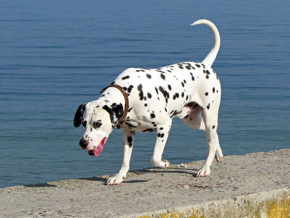 ��� ������ �� ...�����... :) ����� ������ ���� �� PhotoGeek.ru #�������� ���