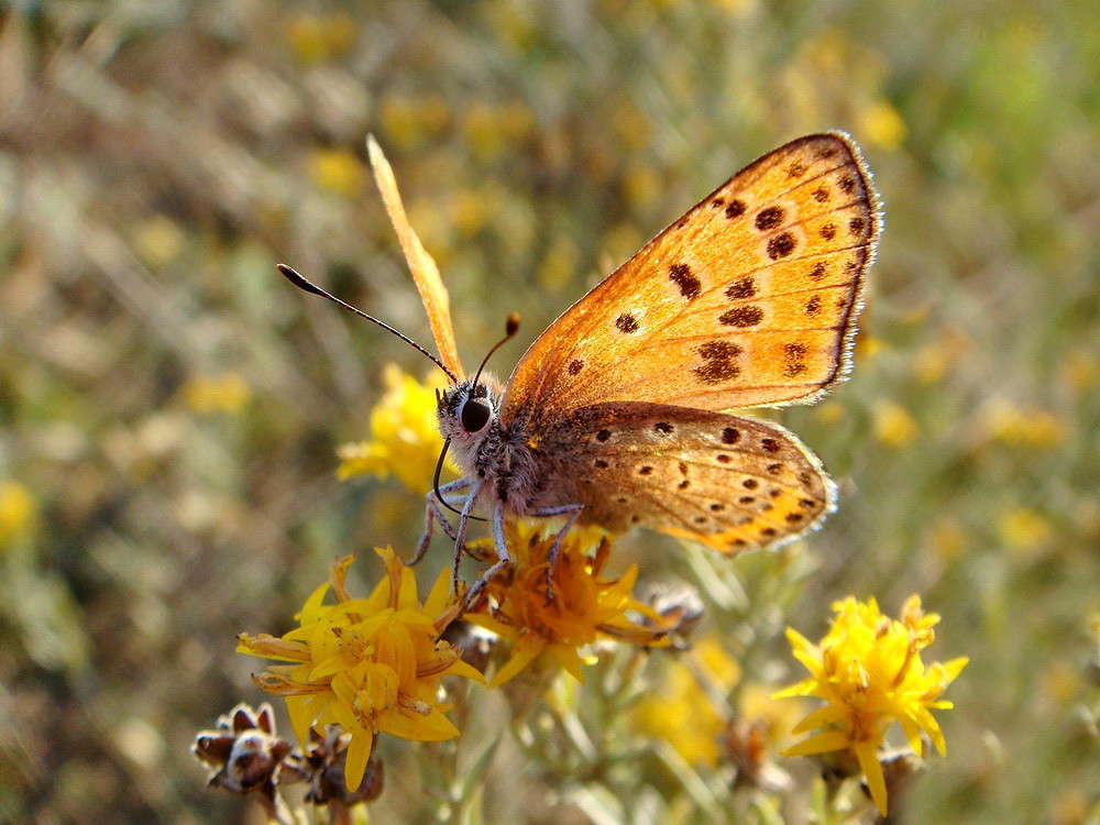 ������� ����� ������ ���� �� PhotoGeek.ru #�����