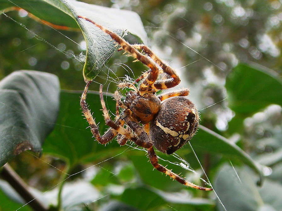 � ������ ������ ����� ������ ���� �� PhotoGeek.ru #�����