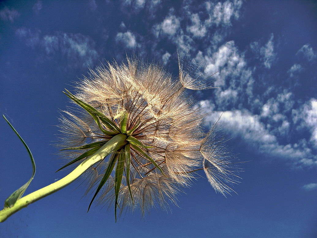 � ������ � ����� ����� ������ ���� �� PhotoGeek.ru #���� . ���������