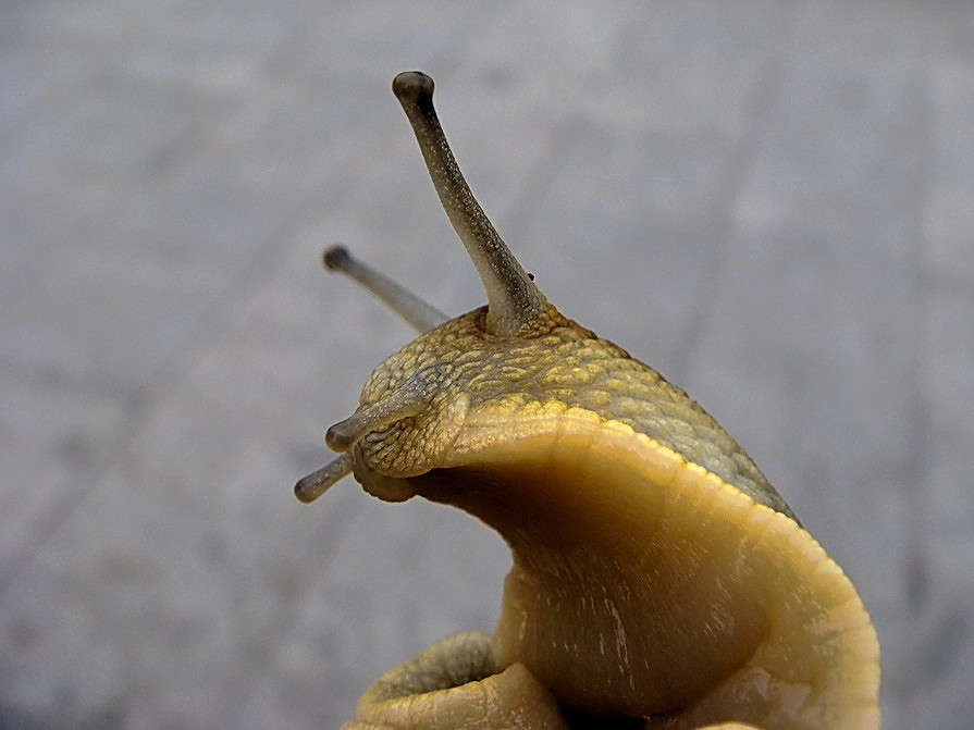 ������� ��������� ����� ������ ���� �� PhotoGeek.ru #�������� ���