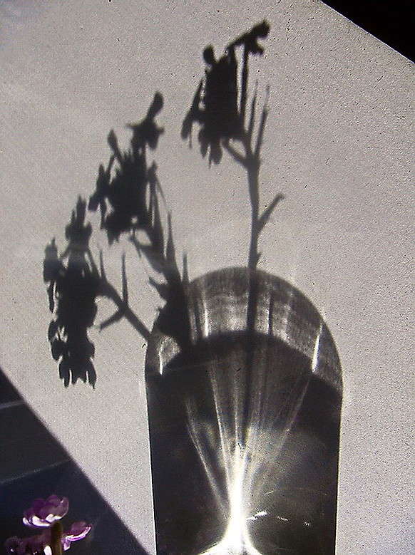 ����� ����������� ����� ������ ���� �� PhotoGeek.ru #���������