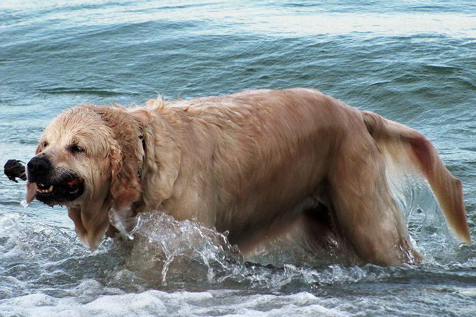 ************* ����� ������ ���� �� PhotoGeek.ru #�������� ���