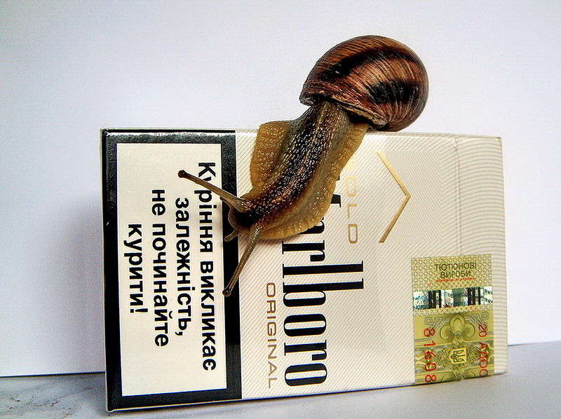 � ����� ������� ����� ������ ���� �� PhotoGeek.ru #�������� ���