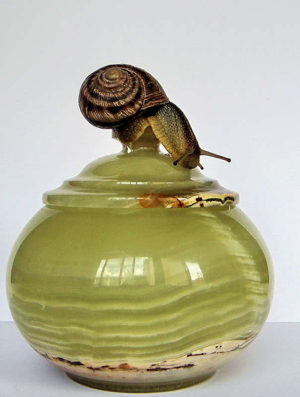 ��� ������� ���������? ����� ������ ���� �� PhotoGeek.ru #�������� ���