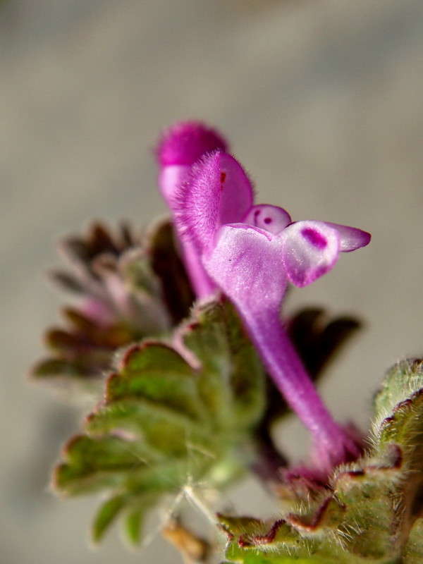 ��������� �������� ����� ������ ���� �� PhotoGeek.ru #�����