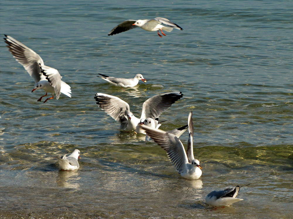 ����� ����� ������ ���� �� PhotoGeek.ru #�������� ���