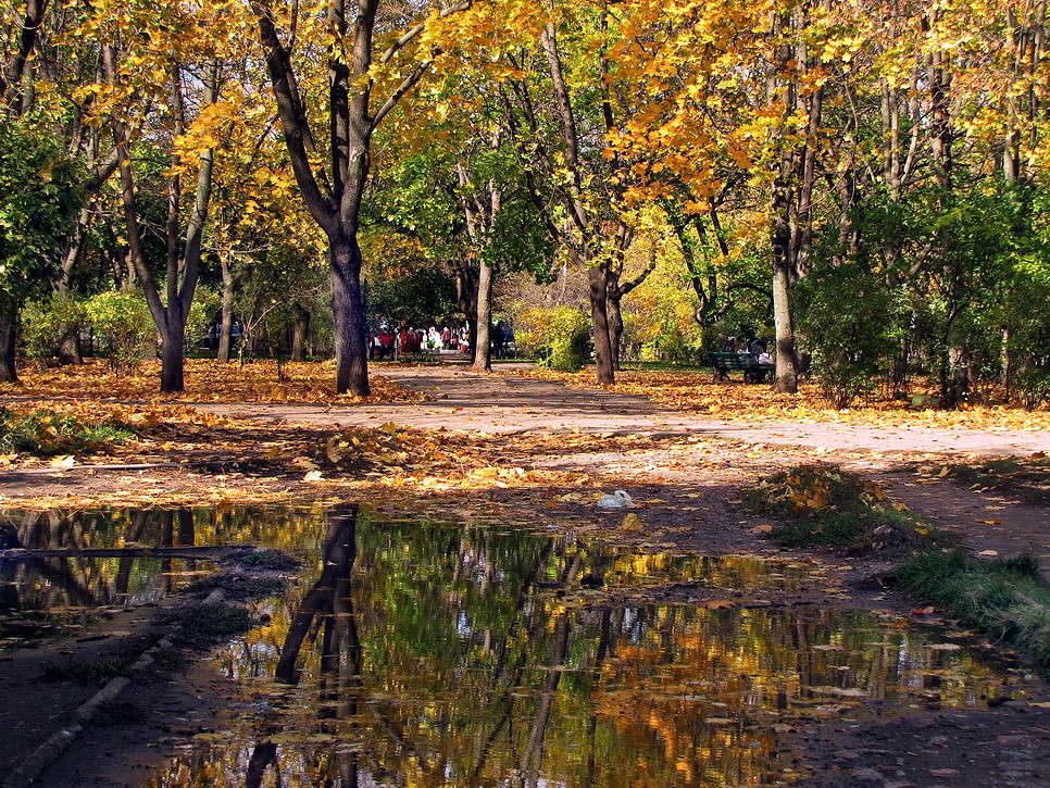 ������� ���� ����� ������ ���� �� PhotoGeek.ru #������ ��� �������