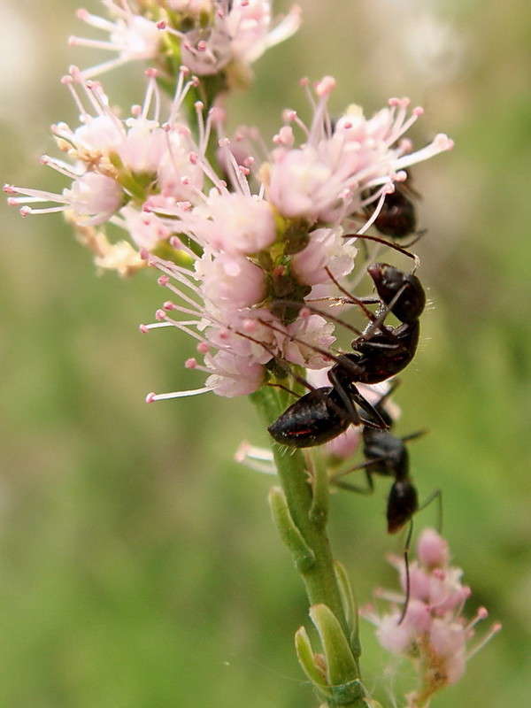 ������� ����� ����� ������ ���� �� PhotoGeek.ru #�����