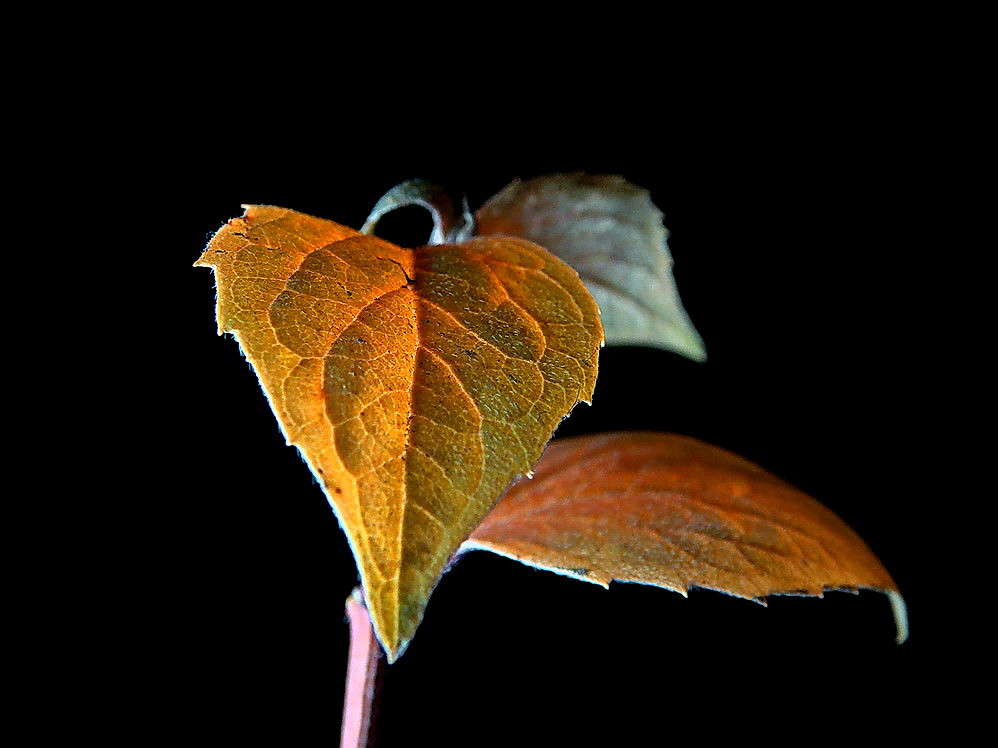 ������� ���� ����� ������ ���� �� PhotoGeek.ru #���� #�����