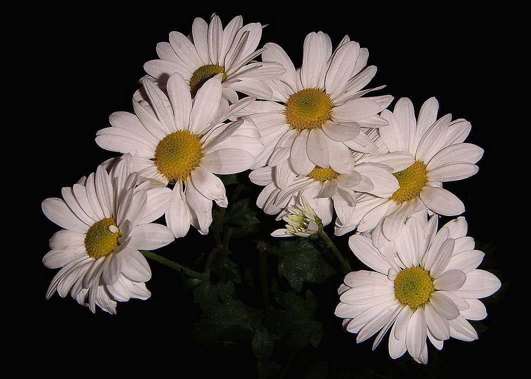 �������  ����� ����� ������ ���� �� PhotoGeek.ru #������. �������