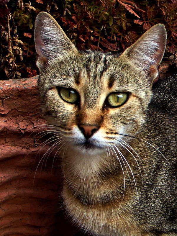 ��������� ����� ������ ���� �� PhotoGeek.ru #�������� ���