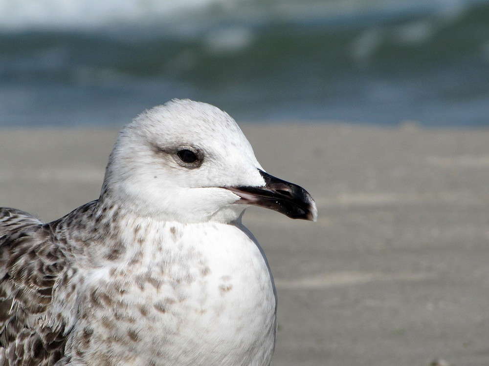 ������� ����� ����� ������ ���� �� PhotoGeek.ru #�������� ���