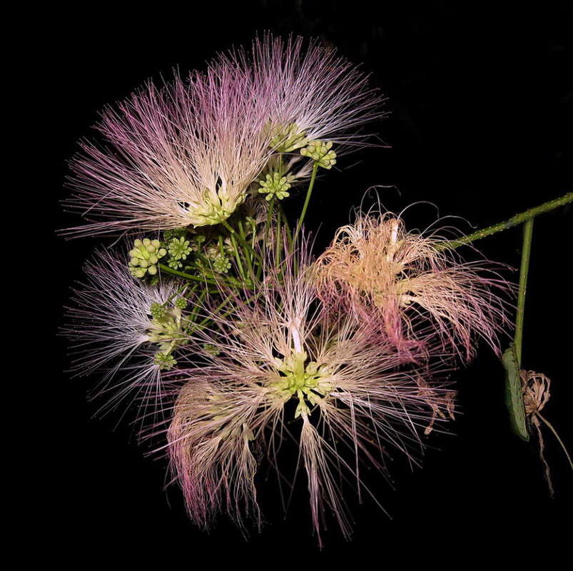 �������� ������ ����� ������ ���� �� PhotoGeek.ru #������ ��� �������