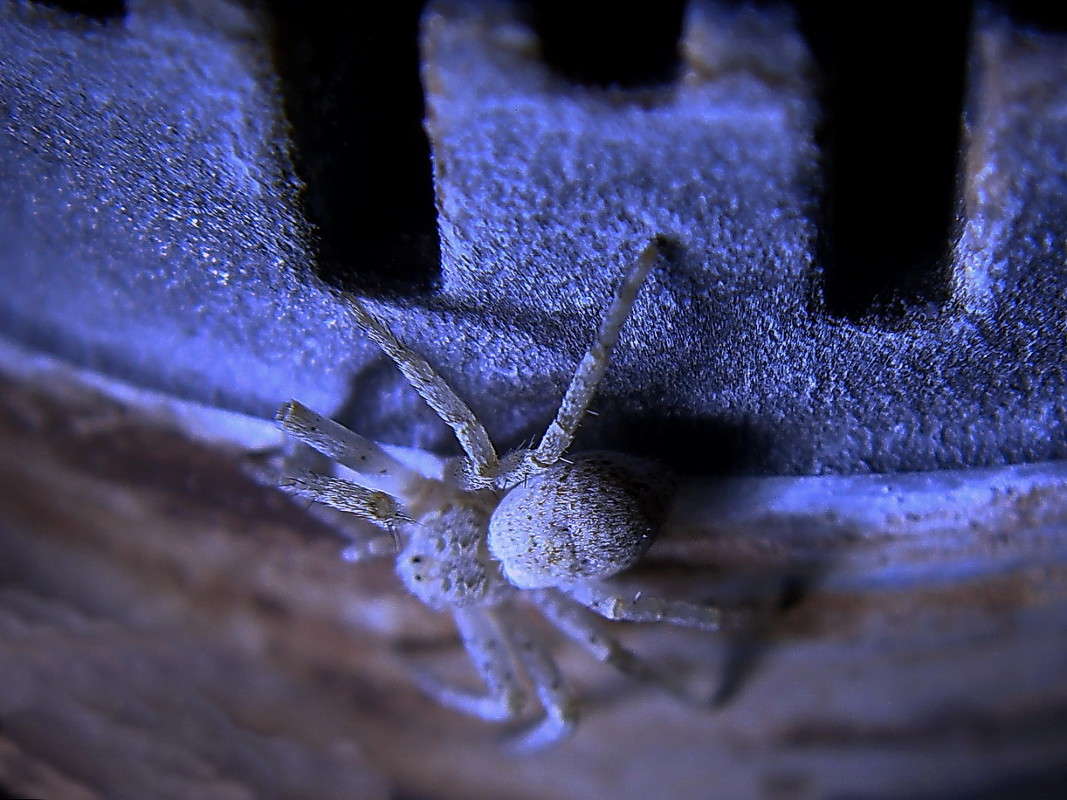 ����� ������� ����� ������ ���� �� PhotoGeek.ru #�����