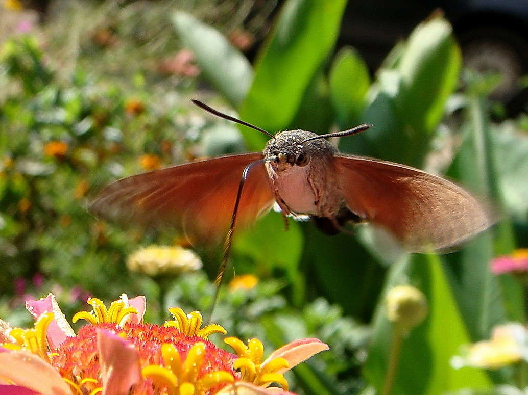 ����� �������� ����� ������ ���� �� PhotoGeek.ru #�������� ���