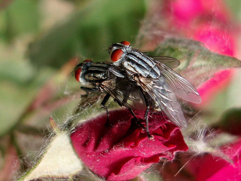 �������� ������� ����� ������ ���� �� PhotoGeek.ru #�����