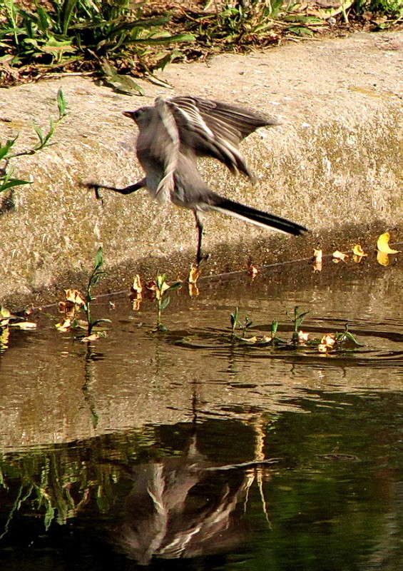 �������� ����� ������ ���� �� PhotoGeek.ru #�������� ���